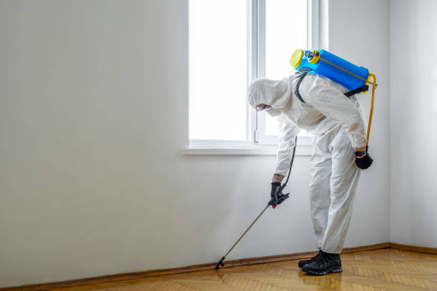 Best Residential Pest Control  in Vass, NC